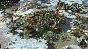 ENDLESS™ Legend✅STEAM GIFT AUTO✅RU/УКР/КЗ/СНГ