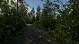 Finnish Cottage Simulator✅STEAM GIFT AUTO✅RU/UKR/KZ/CIS