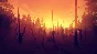 Firewatch✅STEAM GIFT AUTO✅RU/UKR/KZ/CIS