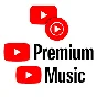 12-Months YouTube Premium (Individual) on Your Account
