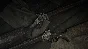 Hunt: Showdown - Fire Fight✅STEAM GIFT AUTO✅RU/УКР/СНГ