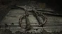 Hunt: Showdown – Reap What You Sow✅STEAM GIFT AUTO✅RU