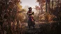 Hunt: Showdown – The Concubine✅STEAM GIFT AUTO✅RU/OT
