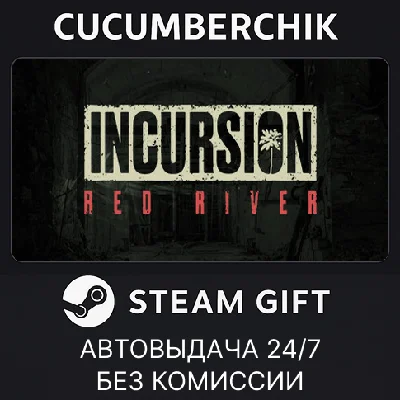 Incursion Red River✅STEAM GIFT AUTO✅RU/UKR/KZ/CIS