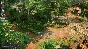 Jagged Alliance 3✅STEAM GIFT AUTO✅RU/UKR/KZ/CIS