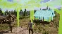 Medieval Dynasty✅STEAM GIFT AUTO✅RU/УКР/КЗ/СНГ