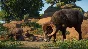 Planet Zoo: Americas Animal Pack✅STEAM GIFT AUTO✅RU/ДР