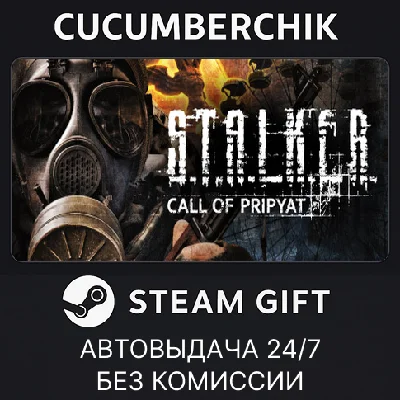 S.T.A.L.K.E.R.: Call of Pripyat✅STEAM GIFT AUTO✅RU/OT
