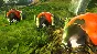 Smalland: Survive the Wilds✅STEAM GIFT AUTO✅RU/UKR/CIS