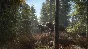 theHunter: Call of the Wild™✅STEAM GIFT AUTO✅RU/УКР/СНГ