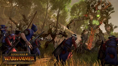 Total War: WARHAMMER - Realm of The Wood Elves✅STEAM GIFT AUTO✅RU+МИР