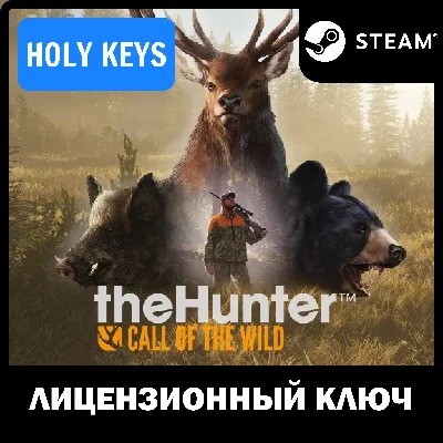 🔥theHunter: Call of the Wild + 9 DLC STEAM KEY  + 🎁