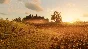 ✅RED DEAD REDEMPTION 2 + ONLINE 🟡 (ROCKSTAR/GLOBAL) 🚀