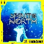 🔵Spirit of the North / Спирит Норт | PS4/PS5 Турция 🔵