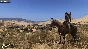 MOUNT & BLADE II: BANNERLORD DELUXE XBOX ONE,X|S,PC🔑