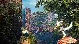 BIOMUTANT XBOX ONE & SERIES X|S🔑КЛЮЧ