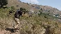 ⭐ Arma 3 Tac-Ops Mission Pack DLC EU PC Steam Key 🔑EUR