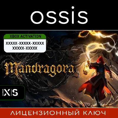 Mandragora Whispers of the Witch Tree | Xbox 🔑 Ключ