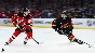 NHL® 25 Standard Edition XBOX Series X|S KEY+PROXY 🔑