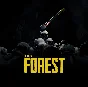 The Forest (Steam Gift Россия)