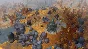 Northgard - Vordr, Clan of the Owl DLC STEAM АВТО