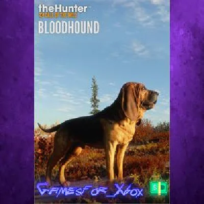 theHunter Call of the Wild - Bloodhound XBOX DLC