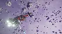 X4: Tides of Avarice DLC STEAM AUTO RU/UA/KZ/CIS