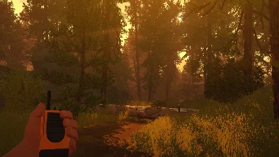Firewatch STEAM АВТО RU/UA/KZ/СНГ