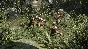 Ryse: Son of Rome STEAM AUTO RU/UA/KZ/CIS