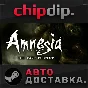 Amnesia: The Dark Descent STEAM АВТО RU/UA/KZ/СНГ