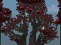 Jump King STEAM АВТО RU/UA/KZ/СНГ
