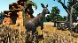 ZOO TYCOON: ULTIMATE ANIMAL COLLECTION XBOX-WIN10,11🔑