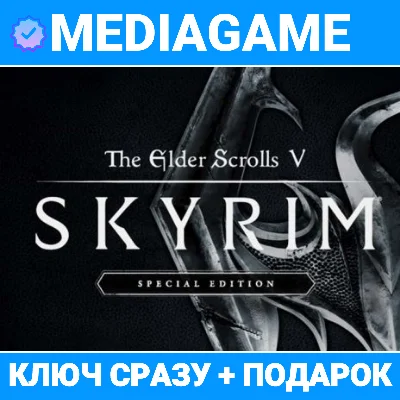 TES V: Skyrim Special+ Anniversary edition (steam key)