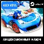 🔥Sonic & All-Stars Racing Transformed Collection STEAM