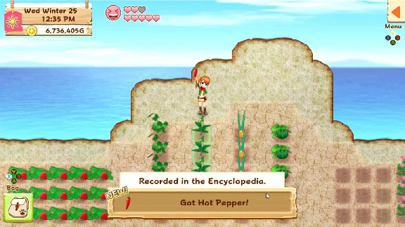 Harvest Moon: Light of Hope Special Edition Steam key