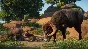 Planet Zoo: Americas Animal Pack Steam Ключ РФ+Мир