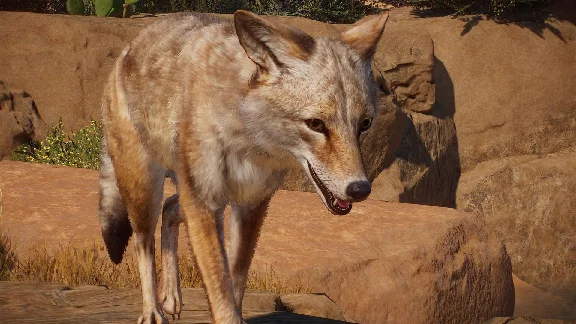 Planet Zoo: Americas Animal Pack Steam Ключ РФ+Мир