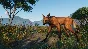 Planet Zoo: Grasslands Animal Pack Steam Ключ РФ+Мир