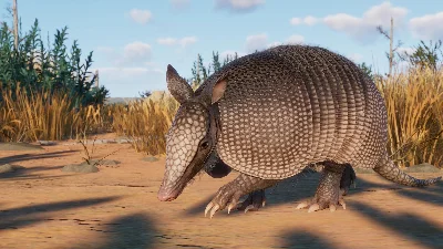 Planet Zoo: Grasslands Animal Pack Steam Ключ РФ+Мир