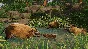 Planet Zoo: Tropical Pack Steam Key Global DLC +Bonus