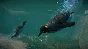 Planet Zoo: Aquatic Pack Steam Key Global DLC +Bonus