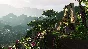 Planet Zoo: South America Pack Steam Ключ РФ+Мир +Бонус