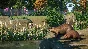 Planet Zoo: North America Animal Pack Steam Key ROW DLC