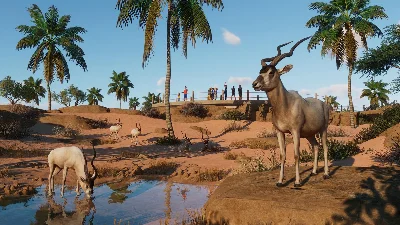 Planet Zoo Arid Animal Pack Steam Key Global DLC +Bonus
