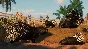 Planet Zoo Arid Animal Pack Steam Key Global DLC +Bonus