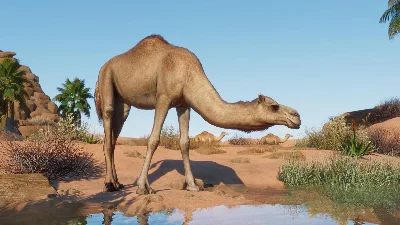 Planet Zoo Arid Animal Pack Steam Key Global DLC +Bonus