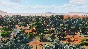Planet Zoo: Australia Pack Steam Ключ РФ+Мир +Бонус