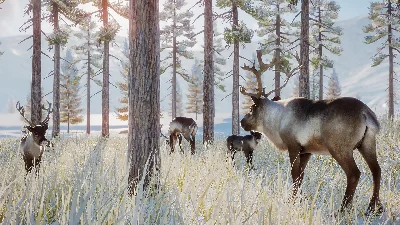 ⚫Planet Zoo: Arctic Pack Steam Key Global DLC +Bonus