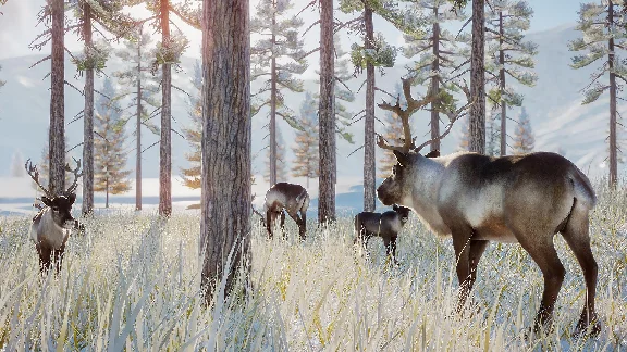 Planet Zoo: Arctic Pack Steam Key Global DLC +Bonus