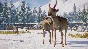 Planet Zoo: Eurasia Animal Pack Steam Key Global DLC